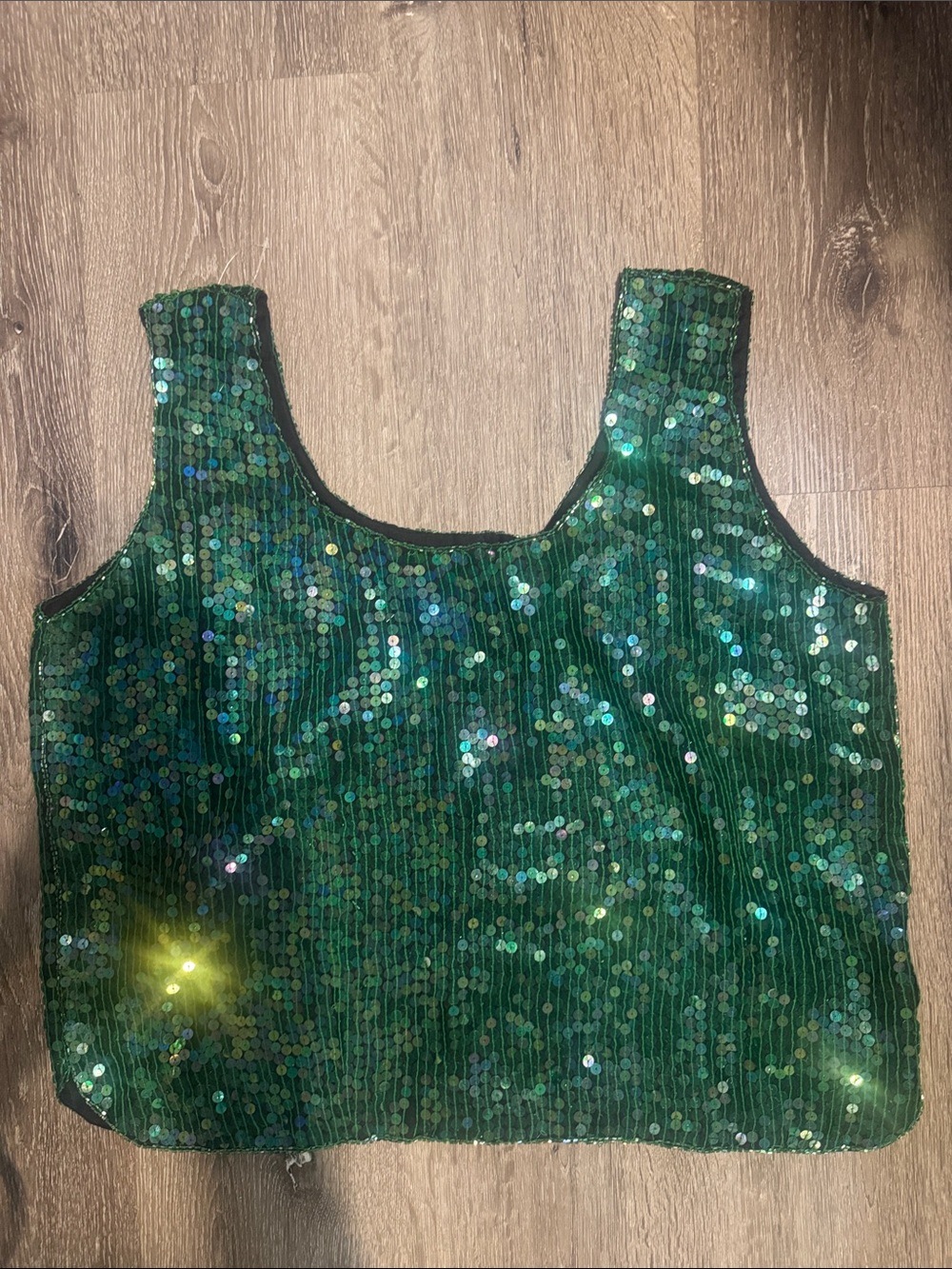 Vintage Elegance by Anujan Sequin Tank Top Womens Sz M Green Blue Cropped Silk